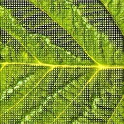 Visual Identity System For A Horticulture Innovator cover image