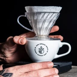 Visual Identity And Packaging For A Specialty Coffee Brand cover image