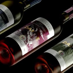 Visual Identity And Packaging For A Chocolate Brand cover image