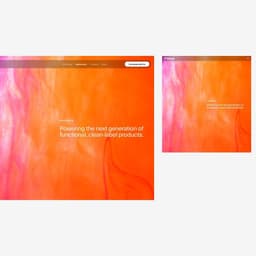 Digital Platform For A Pioneering Food Technology Company cover image