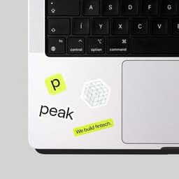 Brand Transformation For A Cutting-edge Fintech Provider cover image