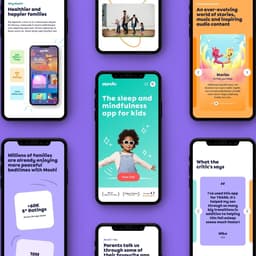 A Brand Strategy For A Platform Promoting Emotional Wellbeing cover image