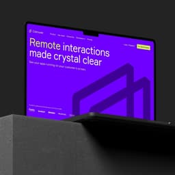 Branding And Website Design For A Collaborative Browsing Solution cover image