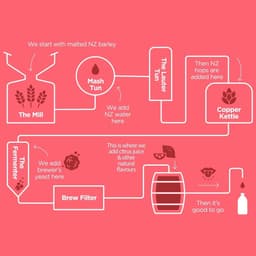 A Non-alcoholic Beverage Brand For Heineken cover image