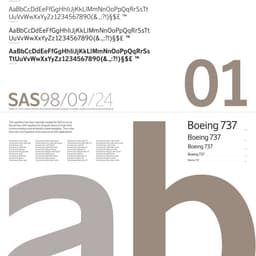 Brand Redesign For A Leading Scandinavian Airline cover image