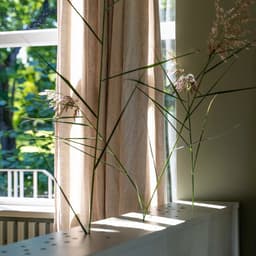 Poetic Identity For A Modern Swedish Restaurant cover image