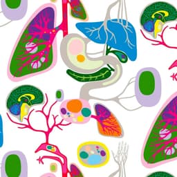 Brand Platform And Identity Development For A Leading Home Textile Retailer cover image