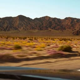 Photography And Film For A Leading Truck Manufacturer cover image