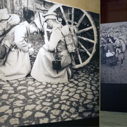 Exhibition Design For A National Commission Celebrating The Portuguese Republic cover image