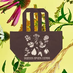 Brand Identity And Packaging Design For A Herbal Wellness Company cover image