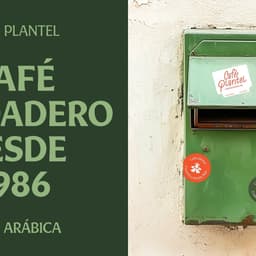 Branding And Packaging For A Costa Rican Coffee Roaster cover image