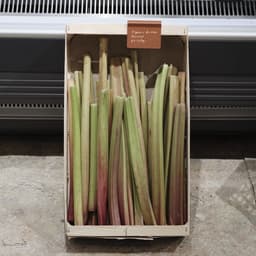 Identity Development For A Premium Fruit And Vegetable Retailer cover image