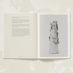 Publication Design For An Exhibition By Setsuko cover image