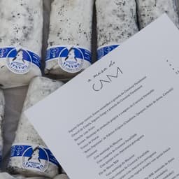 Visual Identity And Opening Campaign For A Modern Art Center cover image