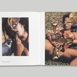 A Printed Monograph For An Established Artist cover image