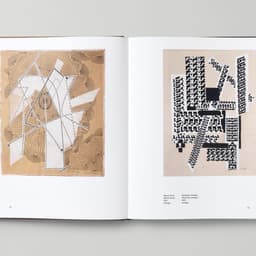 Catalogue Design For A Major Exhibition Of Hannah Höch cover image