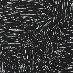 A Book For An Exhibition By A Contemporary Artist cover image