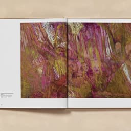 Publication Design For A Contemporary Artist cover image