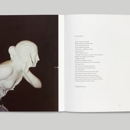 Publication Design For An Exhibition By Blain|southern cover image