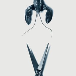 A Visual Identity For A Husband And Wife Team Running Two Businesses cover image