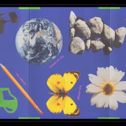 Art Direction For A Pact For The Future Of Humanity cover image