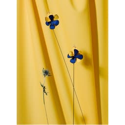 Art Direction For A Magazine Publication cover image