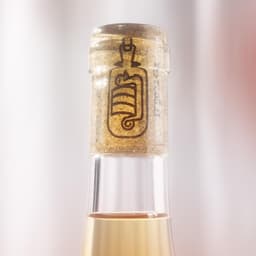 Wine Branding For A Collaborative Wine Brand cover image