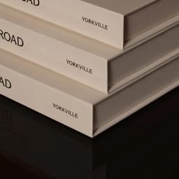 Brand Identity And Campaign Experience For A Premium Residential Condominium cover image