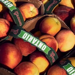 Destination Branding For A Leisure Region In Southern Ontario cover image