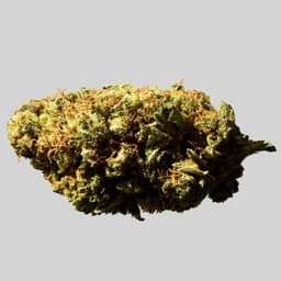 Website Design For A Cannabis Investment Firm cover image