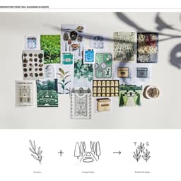 Brand Identity And Packaging Design For A New Dishwashing Liquid cover image