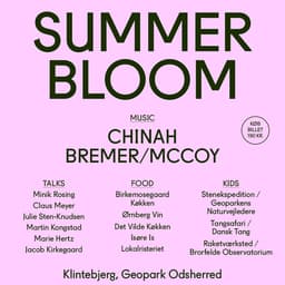 Identity Design For A Family-friendly Festival cover image