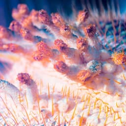 Digital Art Series For A Research Initiative cover image