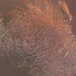 Digital Love Wall For A Contemporary Jewelry Brand cover image