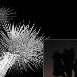 Editorial Design For A Project About Transitions cover image