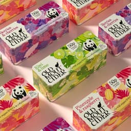 Dynamic Brand Identity Development For A Global Beer Company cover image