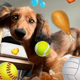 Designing Twemojis For Twitter cover image