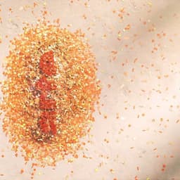 5star - Found design work cover image