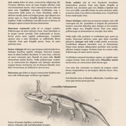 Animated Campaign For A Productivity Platform cover image