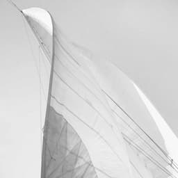 A Rebranding For An Executive Search Consultancy cover image