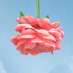 Created A Poetic Story About Healthy Aging For A Health And Wellness Company cover image