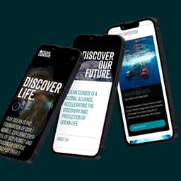 Branding And Website For A Global Ocean Initiative cover image