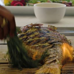 Branding And Sales Collateral For A Luxury Island Community cover image