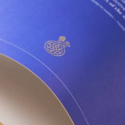 Brand Identity Creation For A Luxury Real Estate Development cover image