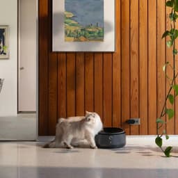 Brand Identity Transformation For A Pet Product Company cover image