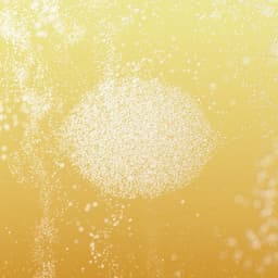 Capturing The Flavors Of Truly Hard Seltzer cover image