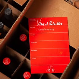 Visual Identity And Art Direction For A Natural Wine Dealer cover image