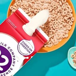 Packaging Refresh For A Dairy Brand cover image