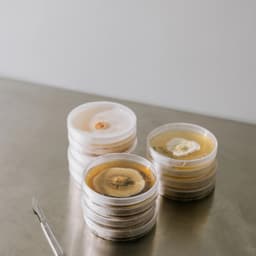 Brand Identity For A Circular Materials Startup cover image