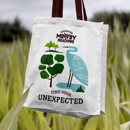 Brand And Website Design For A Hospitality Destination cover image